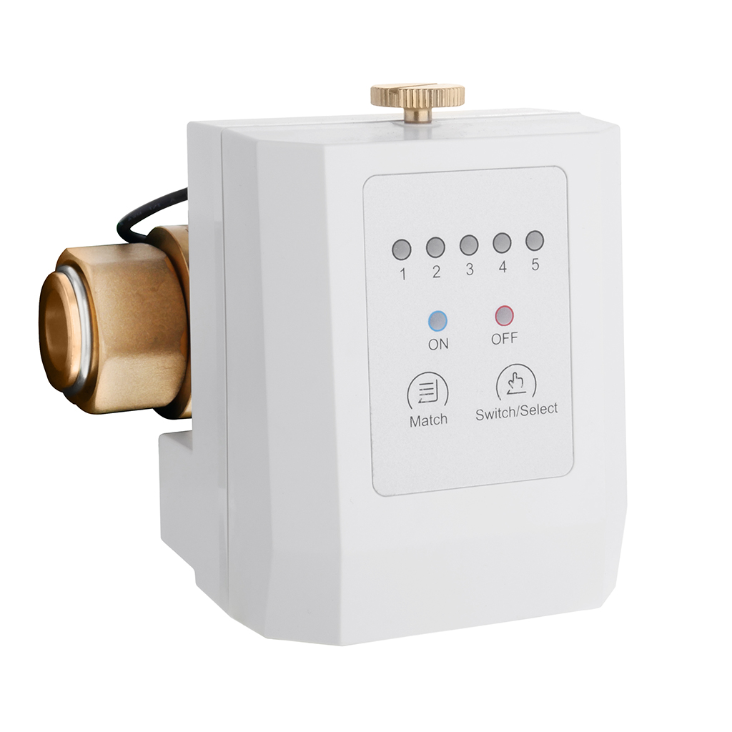 Система защиты от протечек Гейзер RUNXIN F104I - 1". Фото 0