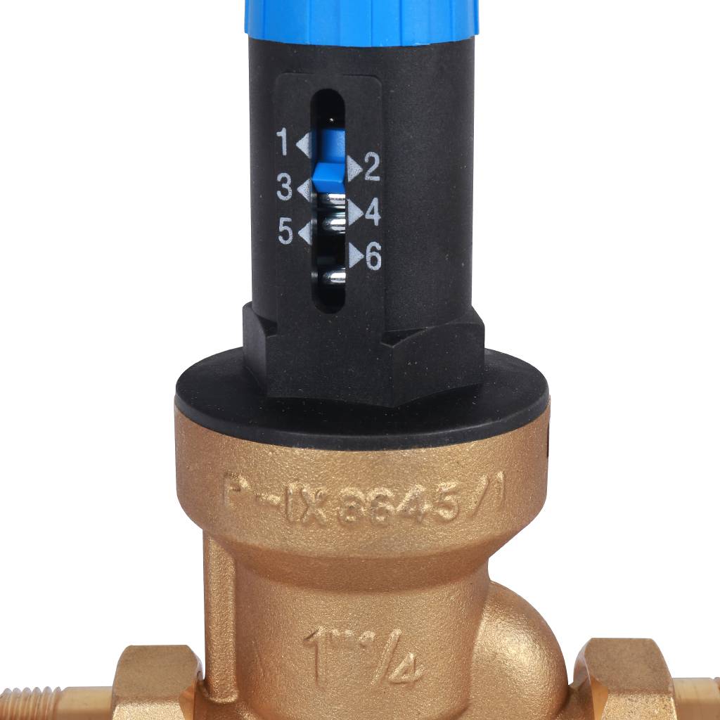 Watts  DRV 32 N редуктор давления DRV-N 1 1/4  со шкалой регулировки. Фото 6