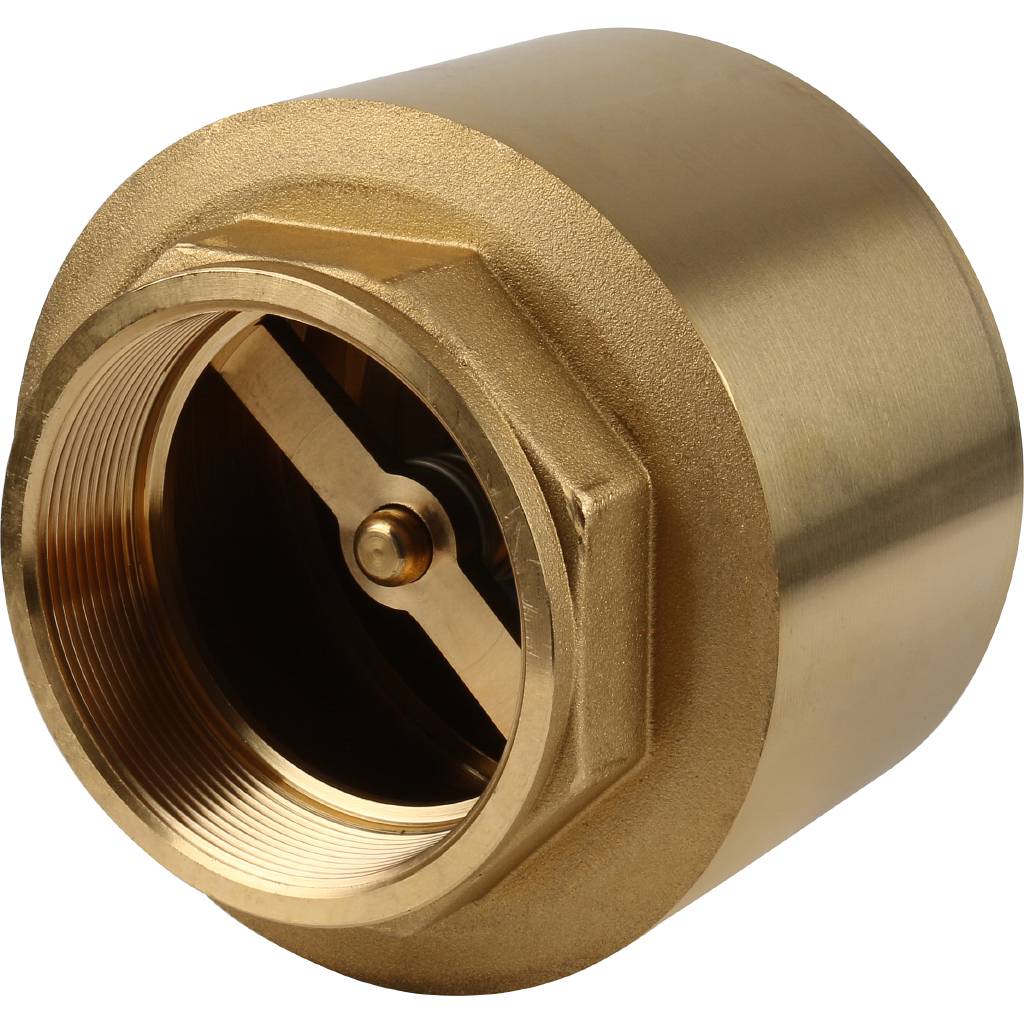 Клапан обратный пружинный муфтовый Itap EUROPA 100 3'' с металлическим седлом