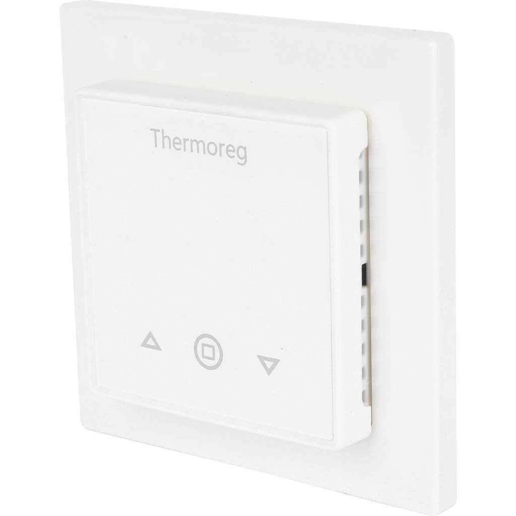 Терморегулятор THERMO THERMOREG. Фото 0