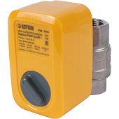 Кран с электроприводом Neptun PROFI 220В 1