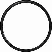 Уплотнительное кольцо ROMMER из EPDM, 54