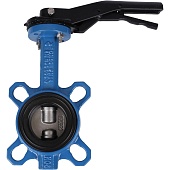 Затвор поворотно-дисковый Tecofi VPI4449 DN 50 PN 16 EP из чугуна