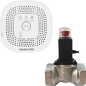 Пульсар Н00025807 сигнализатор загазованности "Пульсар" CH; клапан электромагнитный газовый Ду15 и источник питания в комплекте