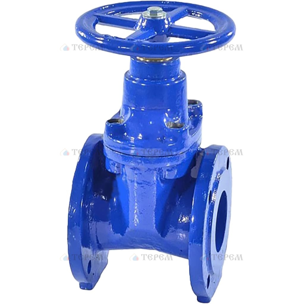 Задвижка чугун аналог МЗВ обрезиненный клин Ду 250 Ру10 фл Завод им ...