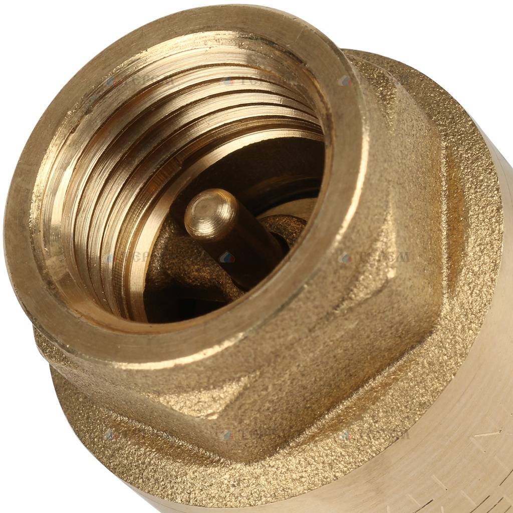 Itap EUROPA 100 1/2 Клапан обратный пружинный муфтовый с металлическим ...